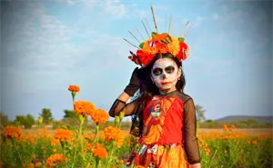 Campo de cempasúchil de Guamúchil abre sus puertas por el Festival Cultural de Día de Muertos 2025