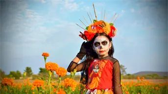 Campo de cempasúchil de Guamúchil abre sus puertas por el Festival Cultural de Día de Muertos 2025