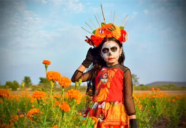 Campo de cempasúchil de Guamúchil abre sus puertas por el Festival Cultural de Día de Muertos 2025