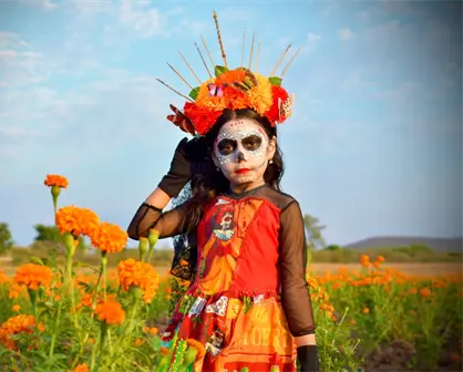 Campo de cempasúchil de Guamúchil abre sus puertas por el Festival Cultural de Día de Muertos 2025