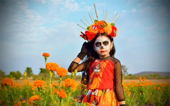 Campo de cempasúchil de Guamúchil abre sus puertas por el Festival Cultural de Día de Muertos 2025