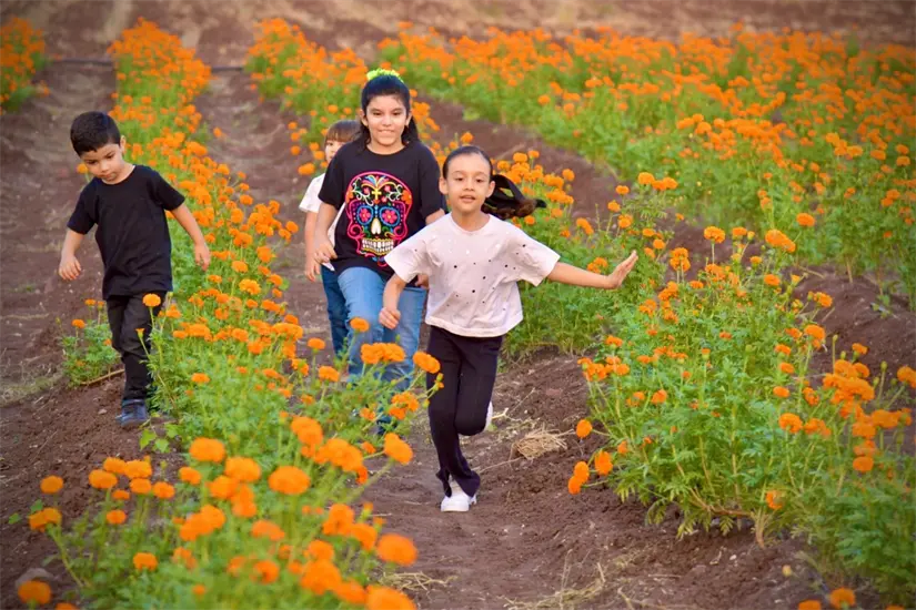 Toda la familia puede disfrutar de una experiencia inolvidable en este sitio. Foto: Cortesía