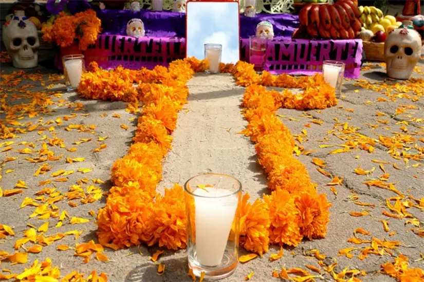 Las flores de cempasúchil son parte fundamental de la tradición del Día de Muertos. Foto: lacapital.com.mx