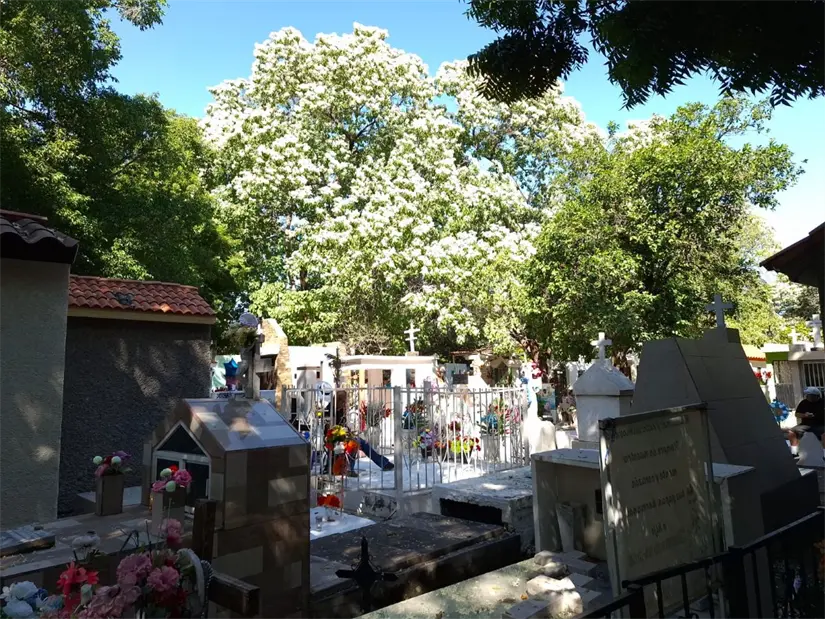 El panteón de la Lima tuvo sus primeras inhumaciones con personas de las comunidades rurales rumbo a la sindicatura de Imala y de La Lima