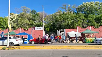 El Panteón La Lima de Culiacán: bajo los árboles de inmortal recibe rezos y risas de los mortales
