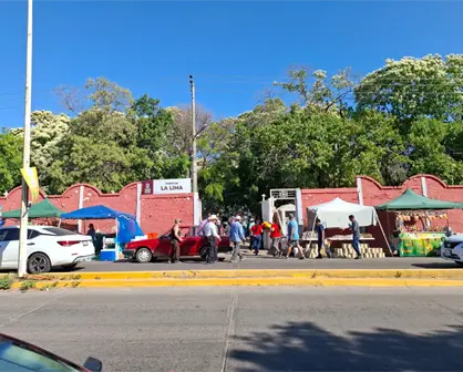 El Panteón La Lima de Culiacán: bajo los árboles de inmortal recibe rezos y risas de los mortales