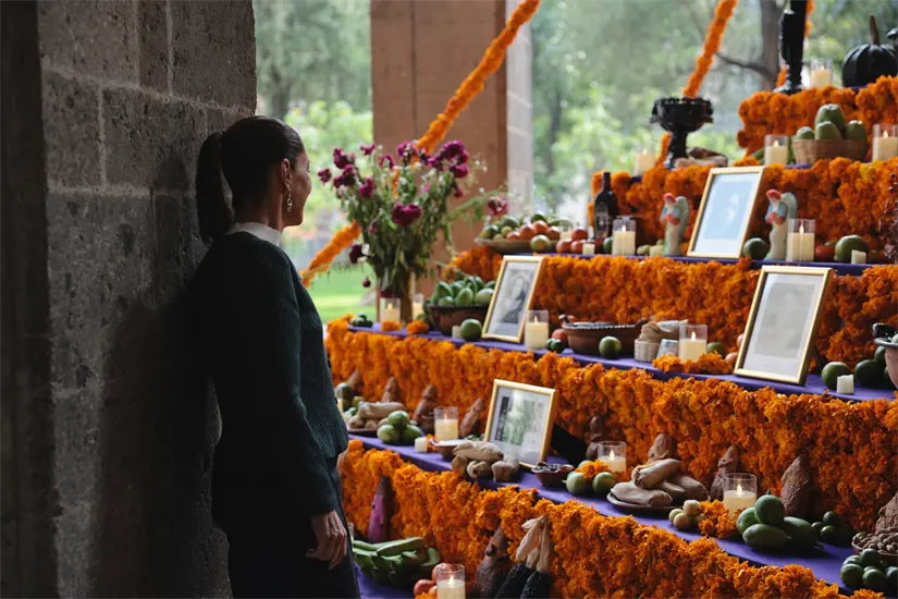 El cempasúchil es una flor nativa icónica del Día de Muertos. Foto: Cortesía