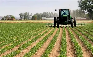 Sinaloa entre los 5 estados con mayor crecimiento económico en primer semestre de 2025