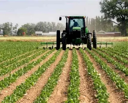 Sinaloa entre los 5 estados con mayor crecimiento económico en primer semestre de 2025