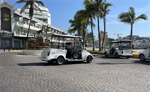 Así nacieron las pulmonías, el símbolo que hizo de Mazatlán un destino único en el mundo