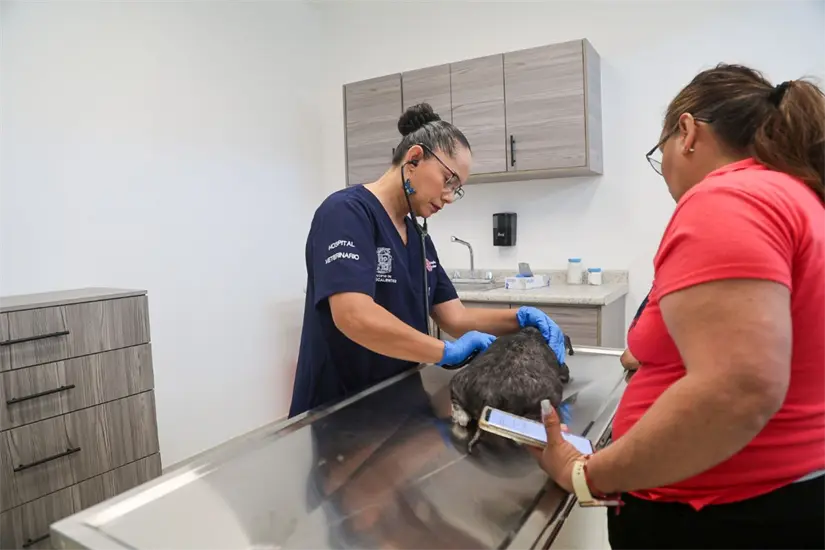 Horarios del hospital veterinario municipal de Aguascalientes. Foto: Cortesía