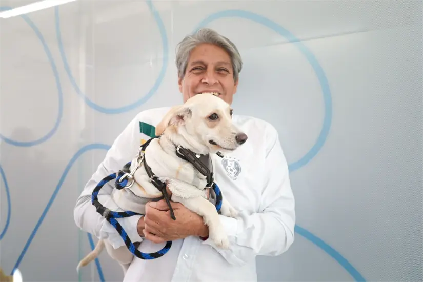 Servicios del hospital veterinario municipal de Aguascalientes. Foto: Cortesía