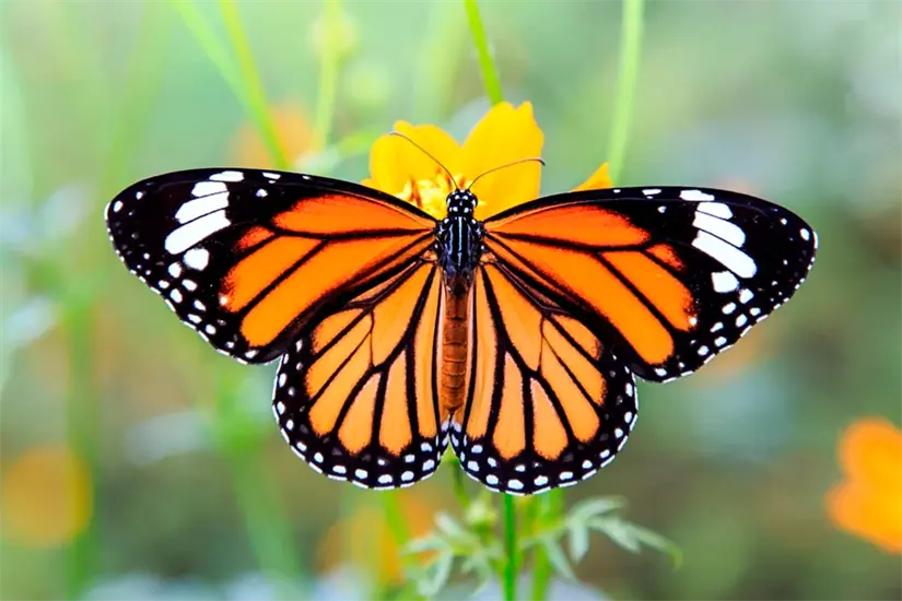 Se recomienda ser prudentes con las visitas a los santuarios. Foto: Cortesía