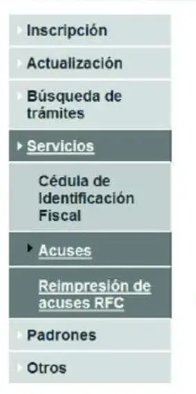 Paso 3 para obtener la Cédula Fiscal en línea. Foto: cortesía.