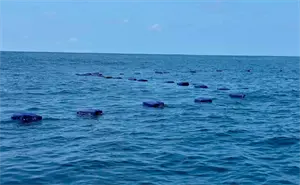 Marina decomisa droga con valor de 980 millones de pesos frente a Michoacán