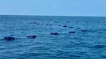 Marina decomisa droga con valor de 980 millones de pesos frente a Michoacán