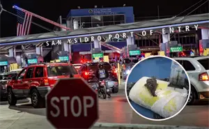 Decomiso histórico en garita de San Ysidro: aseguran heroína con valor de 13 millones de dólares