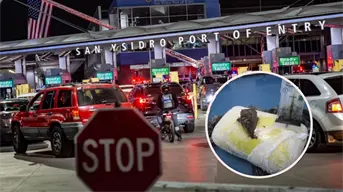 Decomiso histórico en garita de San Ysidro: aseguran heroína con valor de 13 millones de dólares