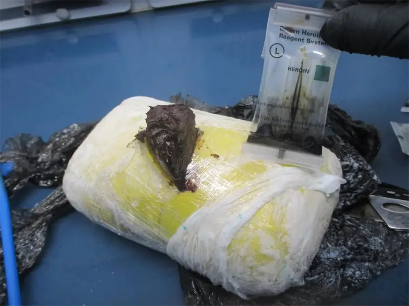 La heroína asegurada tiene un valor estimado en más de 13 millones de dólares. Foto: Cortesía