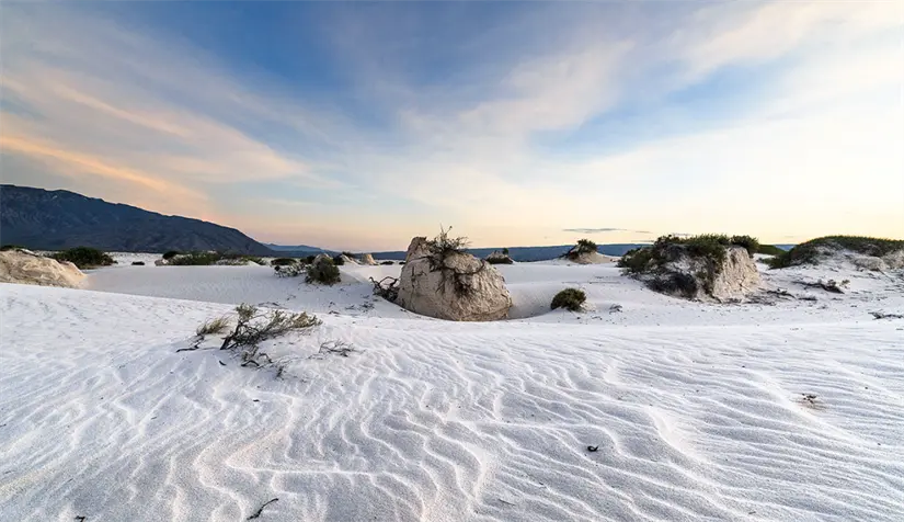 Dunas de Yeso en Cuatro Ciénegas, Coahuila. Foto: cortesía.
