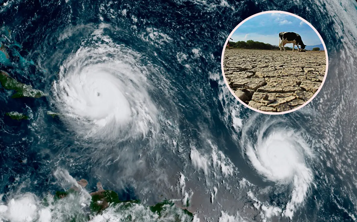 Esta temporada invernal se esperan los efectos de La Niña.