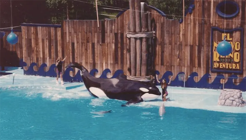 El antiguo Parque Aventura albergaba a la famosa orca Keiko. Foto: Especial