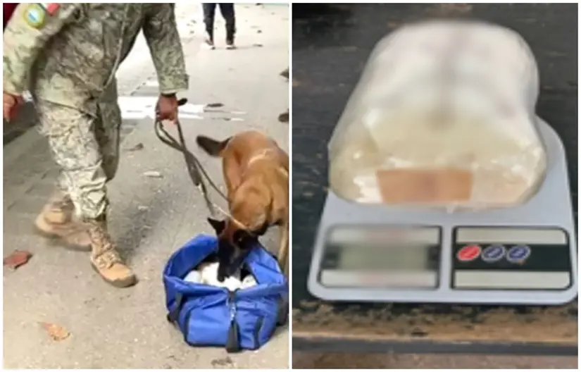 La droga fue encontrada con ayuda de un binomio canino. Fotos: SSPC