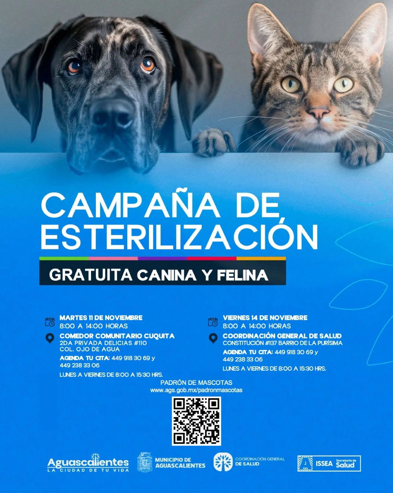 Fechas y horarios de las esterilizaciones en Aguascalientes. Foto: Cortesía
