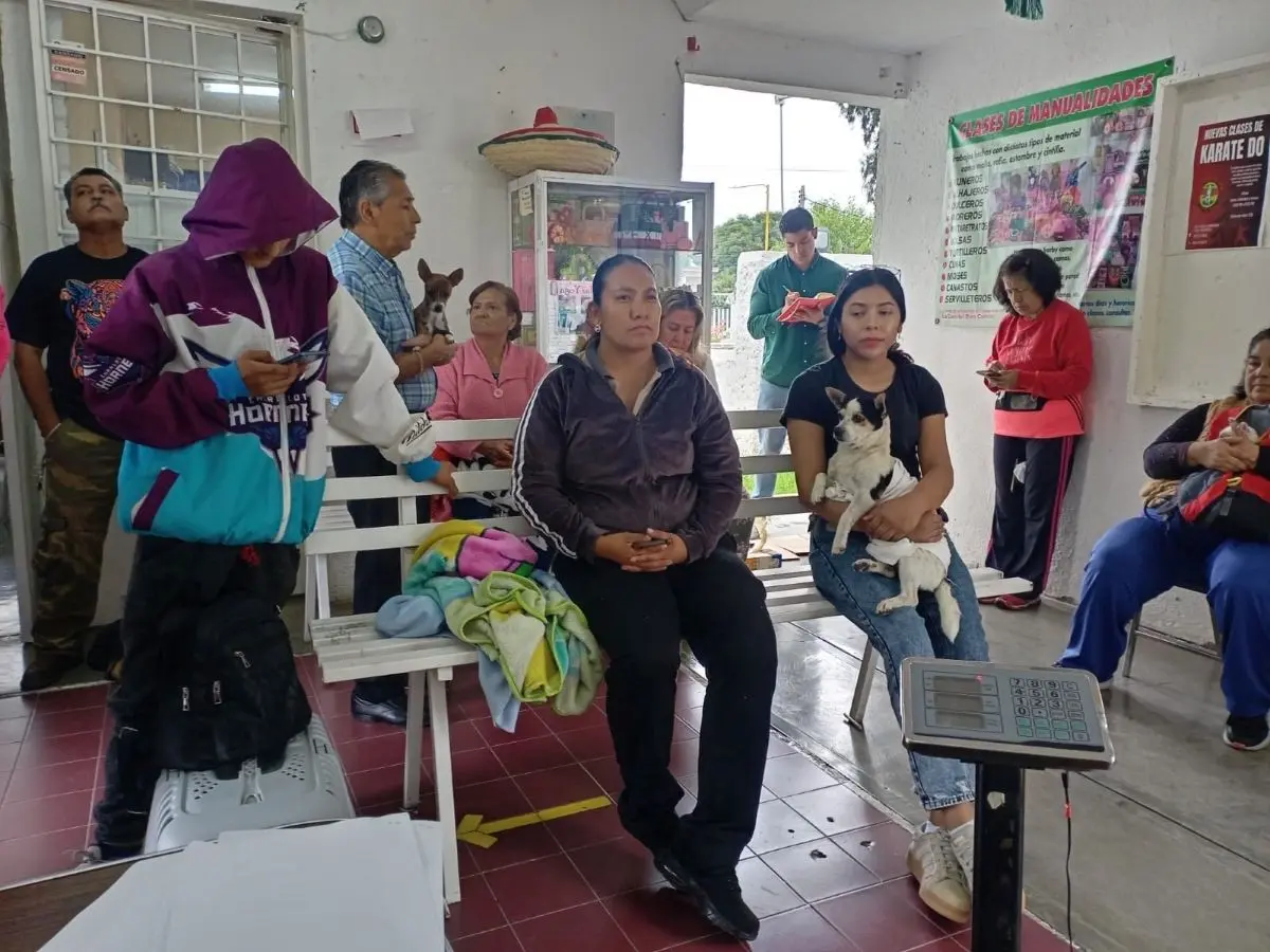 Esterilizaciones gratuitas en Aguascalientes para la próxima semana. Foto: Cortesía