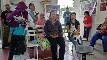 Jornadas de esterilizaciones gratuitas en Aguascalientes; fechas para llevar a tu mascota