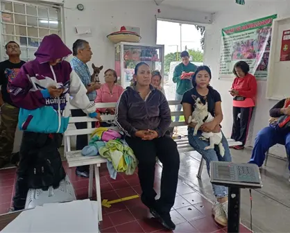 Jornadas de esterilizaciones gratuitas en Aguascalientes; fechas para llevar a tu mascota