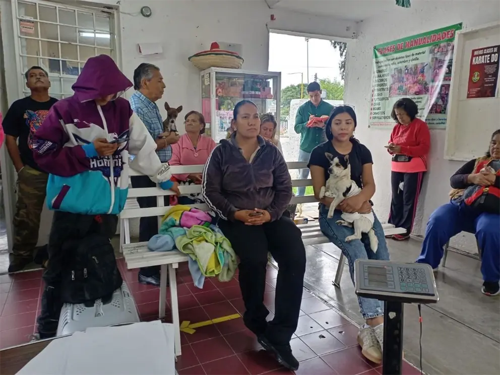 Jornadas de esterilizaciones gratuitas en Aguascalientes; fechas para llevar a tu mascota