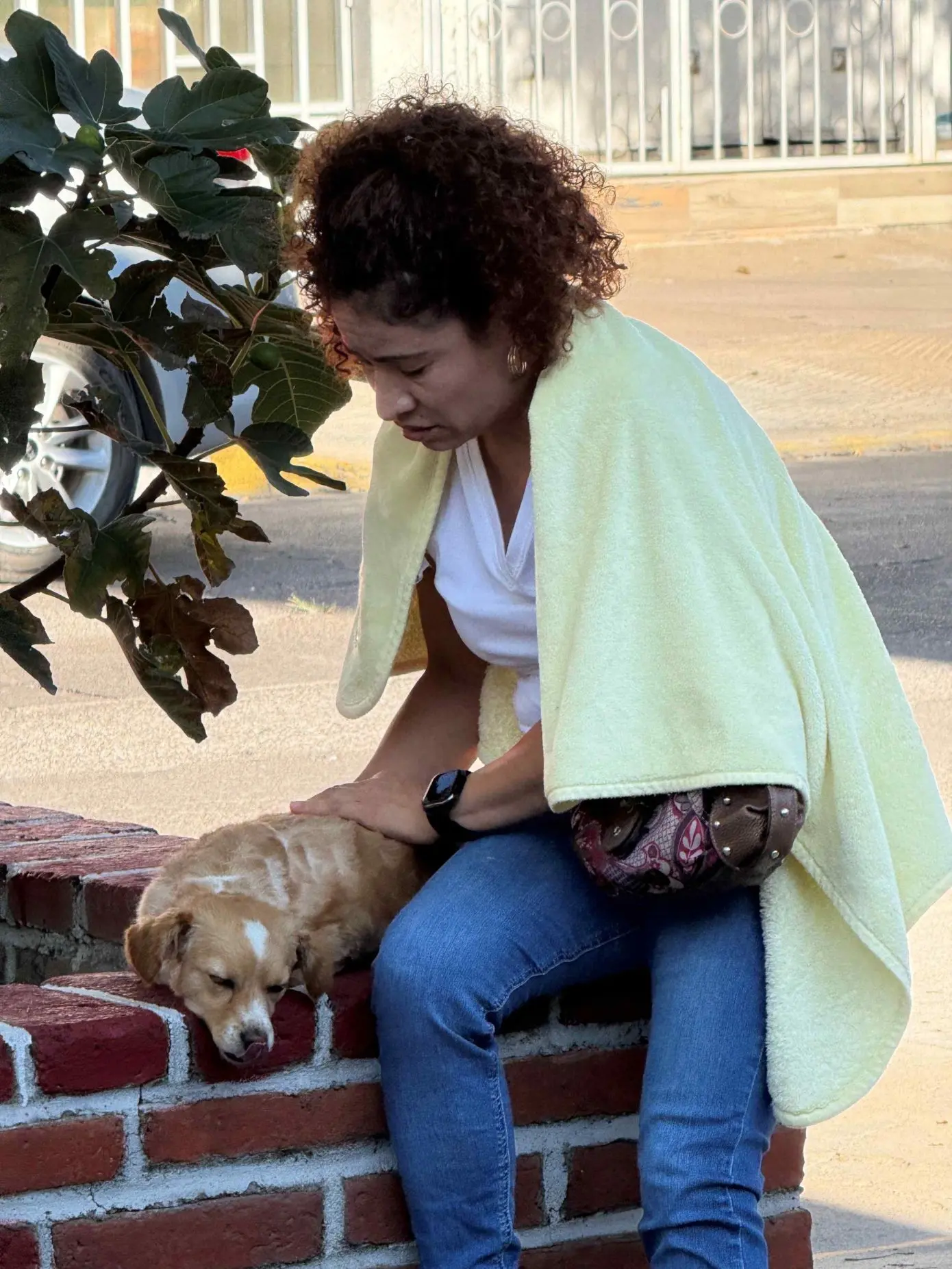 Requisitos para la esterilización gratuita de mascotas en Aguascalientes Foto: Cortesía