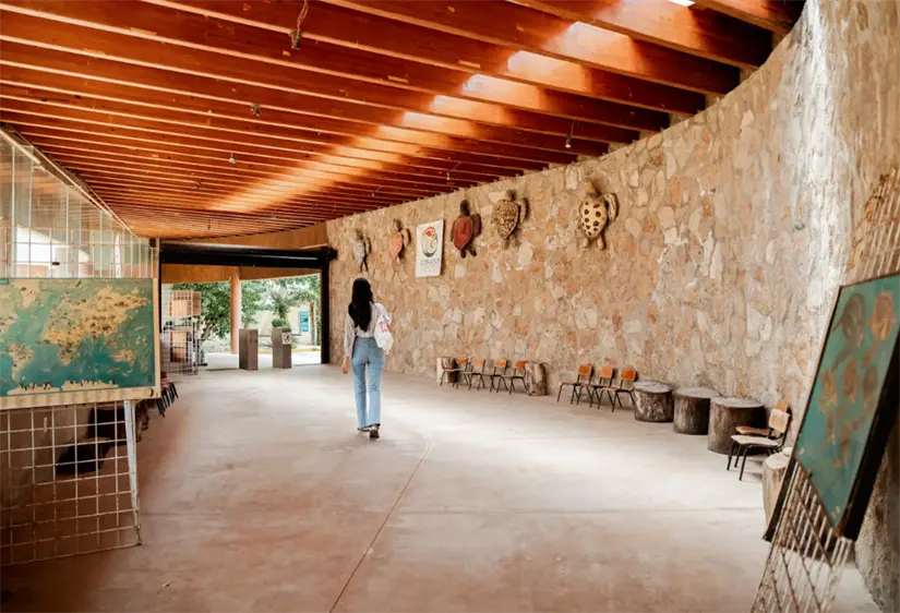 Visita el Centro Mexicano de la Tortuga. Foto: cortesía.