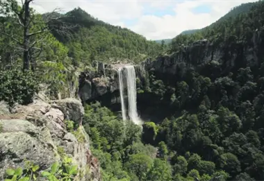 Así es el Cañón del Salto del Agua Llovida: joya natural y apasionante destino de ecoturismo en la Sierra de Durango