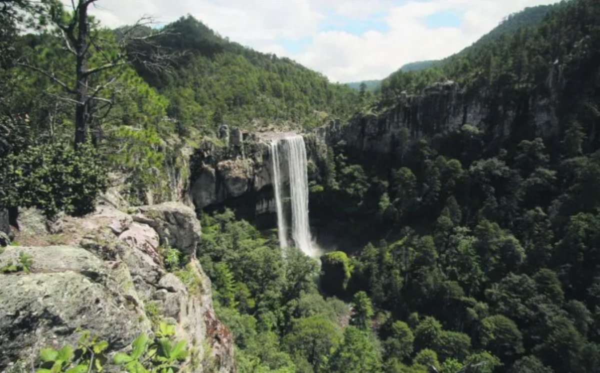 Descubre la belleza del Cañón del Salto del Agua Llovida en la Sierra ...
