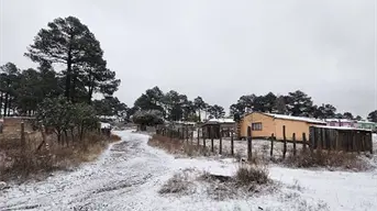 Estados de México donde la temperatura bajará a -0°C