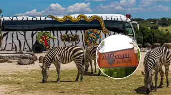 Africam Safari Puebla: precios, horarios y cómo llegar desde CDMX en 2025