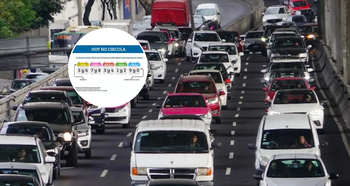 De está manera podrás conocer cuando si circula tu auto. Foto: Cortesía.