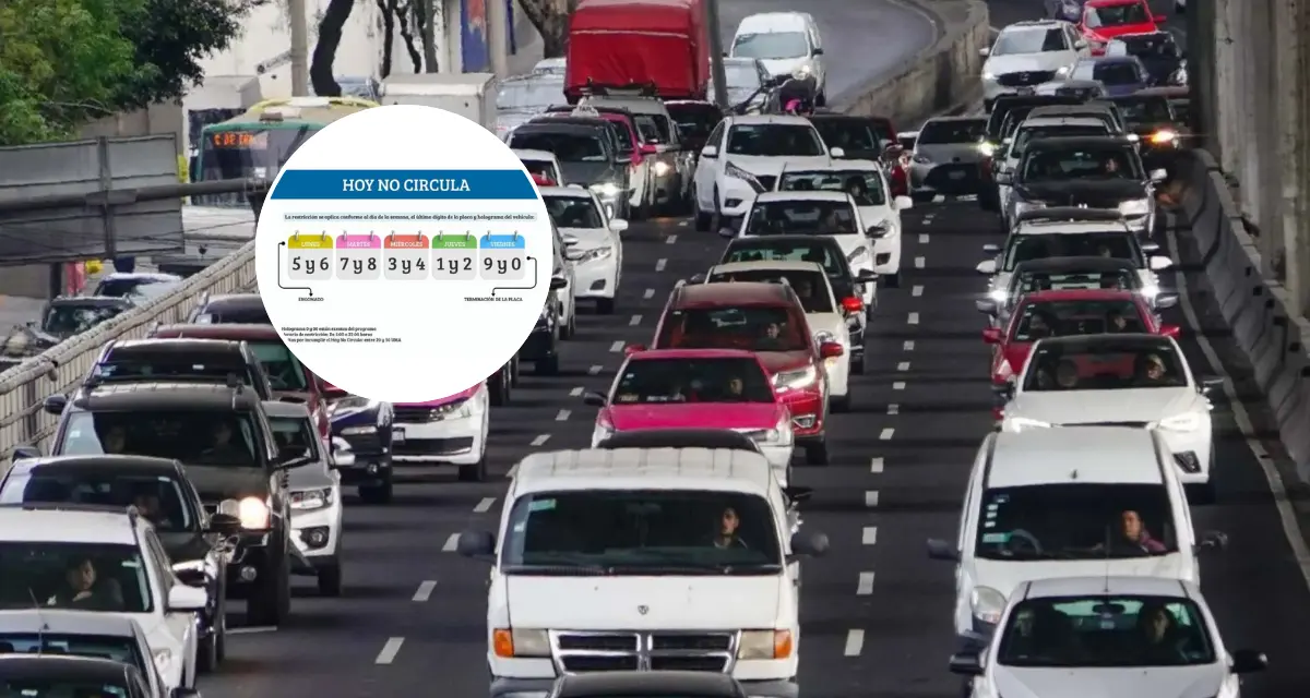 De está manera podrás conocer cuando si circula tu auto. Foto: Cortesía.