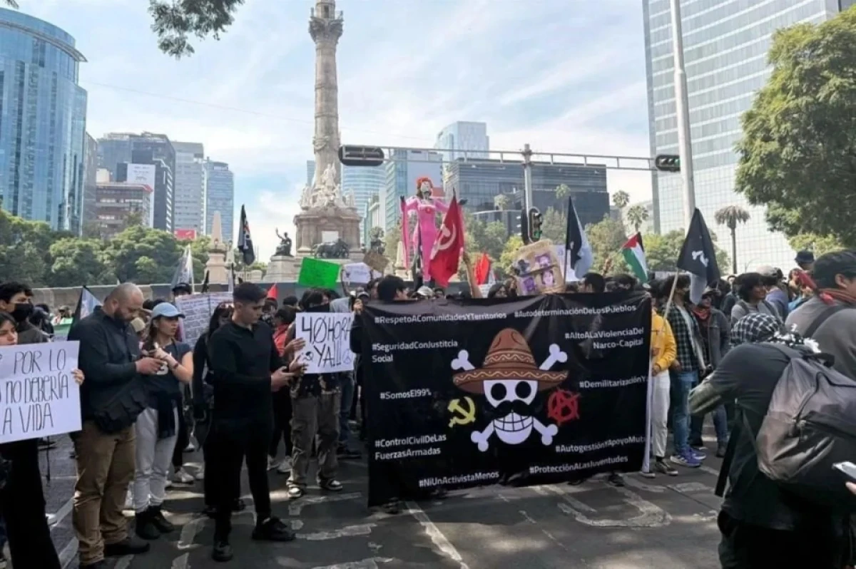 Este movimiento ha tomado como símbolo la bandera pirata de los Sombrero de Paja, del anime One Piece.
