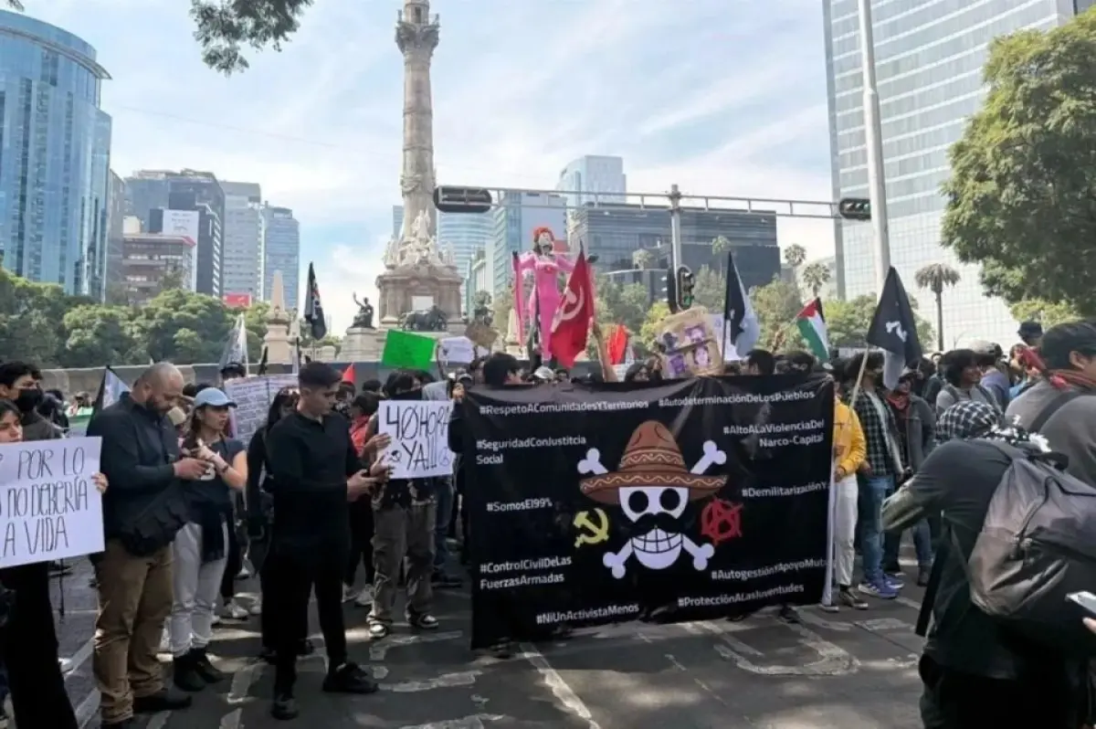 Este movimiento ha tomado como símbolo la bandera pirata de los Sombrero de Paja, del anime One Piece.