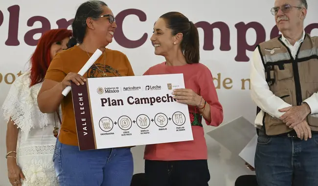 Se planea alcanzar una producción de 100 mil toneladas de arroz, 27 mil toneladas de carne y 55 millones de litros de leche. Foto: Gob. de México