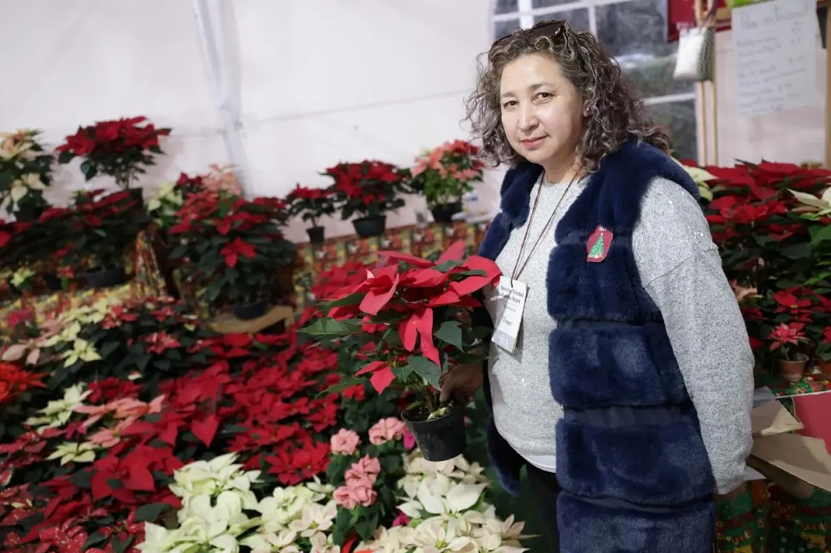 Ya comenzó la Expo Navidad Forestal 2025 en el Edomex. Foto: Cortesía