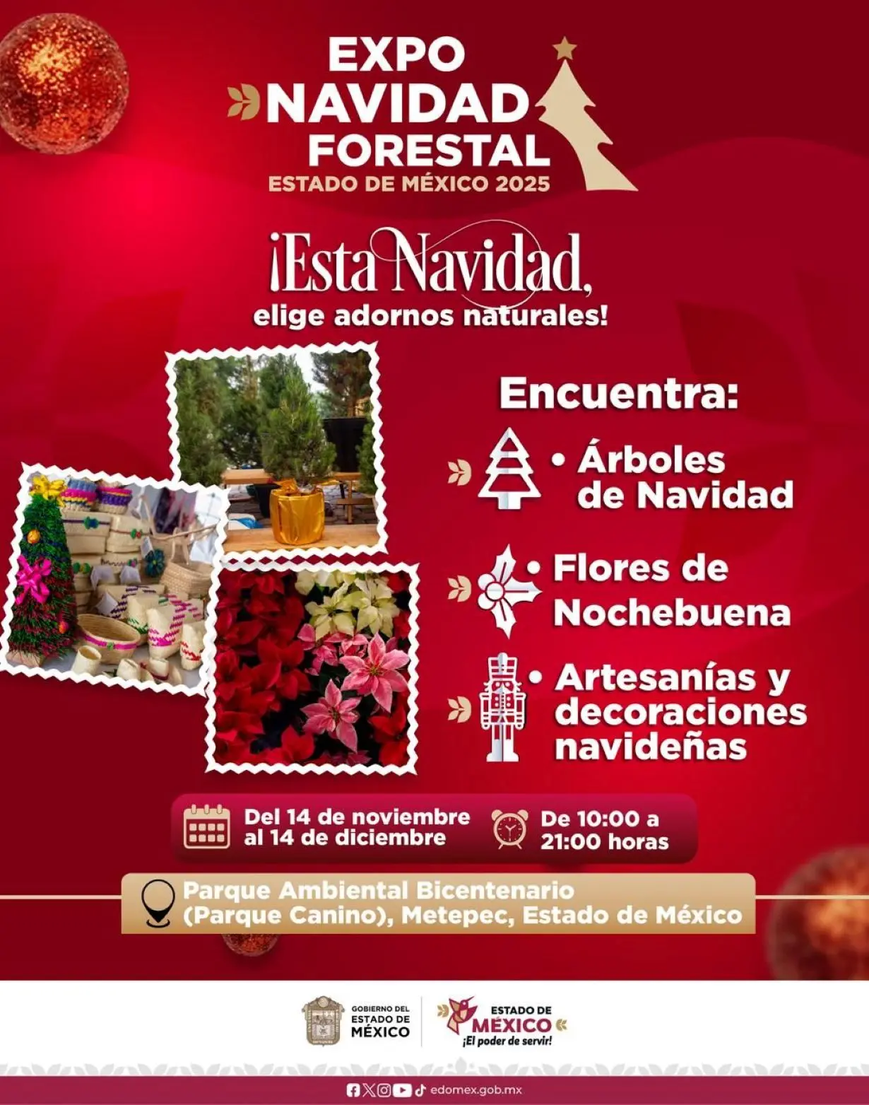 Qué se puede encontrar en la Expo Navidad Forestal Edomex. Foto. Cortesía