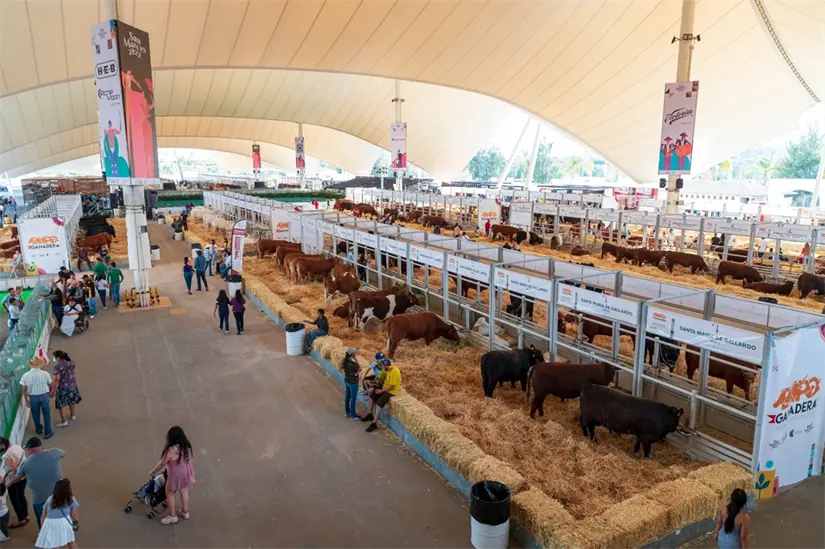 La Feria Ganadera Culiacán 2025 te espera el próximo 20 de noviembre. Foto: Cortesía.
