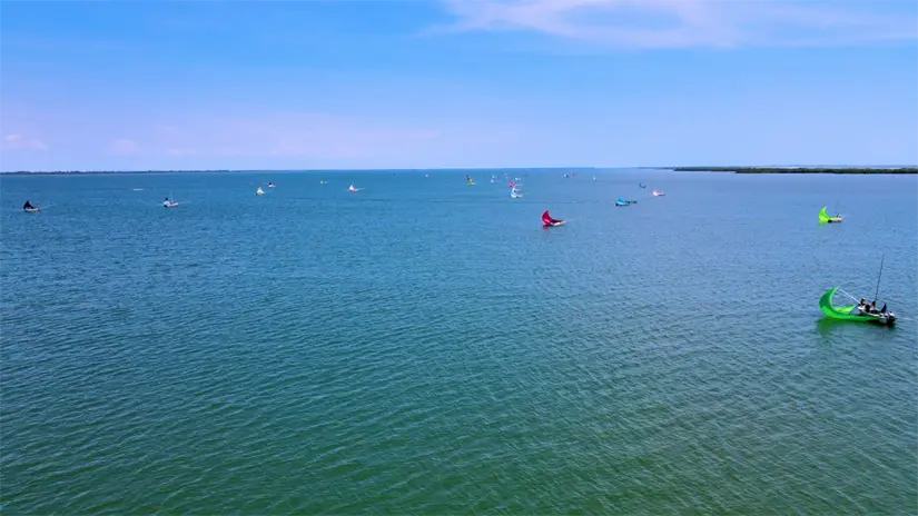 Colorido espectáculo de pangas con velas elevadas surcando la bahía de Altata usando redes suriperas en pesca de camarón
