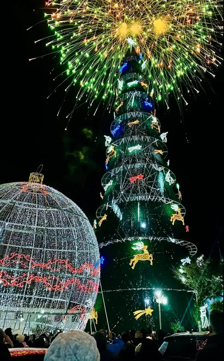 Feria Nacional del Árbol y la Esfera en Chignahuapan. Foto: cortesía.
