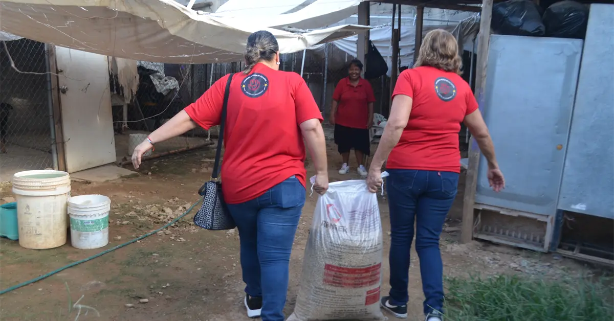 La magia de ayudar: Corazones solidarios se unen para que Rosy Cortez ofrezca un hogar lleno de cariño a sus 23 perritos en Culiacán
