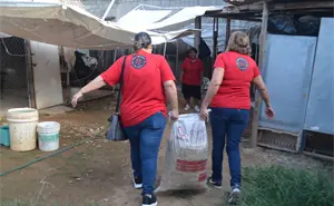 La magia de ayudar: Corazones solidarios se unen para que Rosy Cortez ofrezca un hogar lleno de cariño a sus 23 perritos en Culiacán